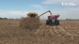 Фермери в штаті Іллінойс вимушені змінювати плани на посівну через ріст цін на добрива. Відео