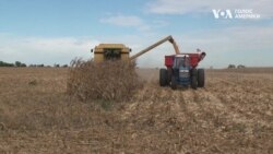 Фермери в штаті Іллінойс вимушені змінювати плани на посівну через ріст цін на добрива. Відео