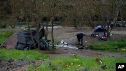 A man plays with his dog in Baker Park next to his tent, at left, after using the stick to help the stream of water flow better on Friday, March 22, 2024, in Grants Pass, Oregon.