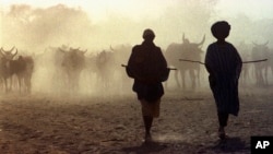 FILE - Tuareg clansmen are silhouetted as they herd cattle in the land between Koygma and Timbuktu, in northern Mali, March 1997. In 2023, cattle rustling by Islamic extremists is soaring at unprecedented levels in Mali.