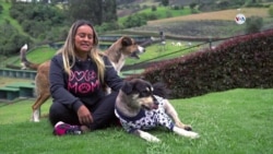 Colombiana planea llevar su fundación de perritos a EEUU