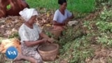 စစ်ပွဲတွေကြောင့် ကော်ဖီဈေးကွက် မှန်းမရ “လယ်ယာစီးပွားသတင်းများ”
