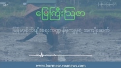 မြန်မာ့စိုက်ပျိုးရေးကဏ္ဍ နိမ့်ကျမှုရဲ့ အကျိုးဆက်