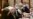 Closer US-China Communication Vital, Treasury Secretary Says