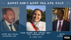 እንደሻው በቀለ(ፕሮፌሰር)፣ ሳራ(ዶ/ር) ተወልደ፣ ዘነባ ወላ