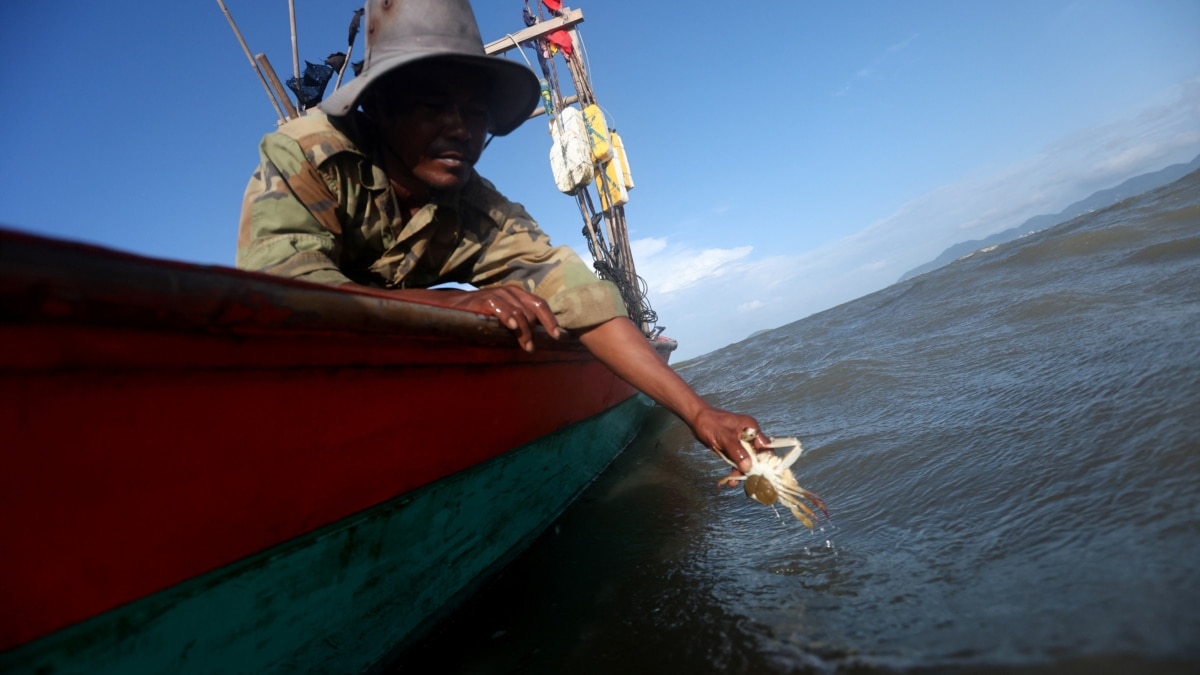 As the Sea Warms, Struggling Cambodian Fishermen Seek to Preserve Crab Stocks - Vimarsana News