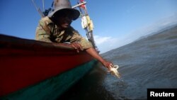 Fisherman Ung Bun, 39, releases female crabs with eggs back to sea as part of the government campaign to save the declining crabs in Angkoal village at the coast of Cambodia's southern Kep province, Cambodia August 18, 2023. (REUTERS/Thomas Suen)