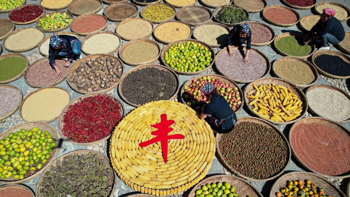 习近平为什么总是强调粮食安全？饭碗端不牢或为中国一大战略软肋