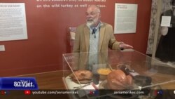 Çfarë ndodhi në Ditën e Falenderimeve