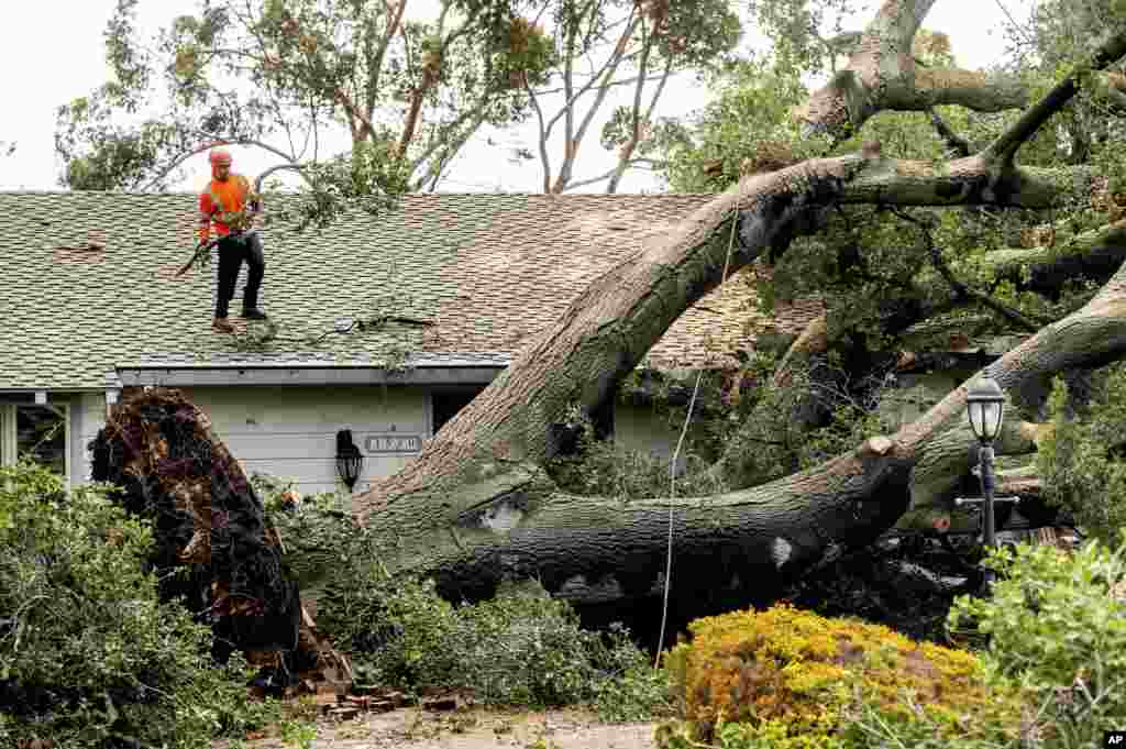 Работниците расчистуваат дрво што паднало на дом за време на силен ветер и дожд, 4 февруари 2024 година, во Сан Хозе, Калифорнија.