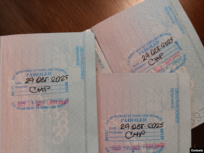 Tres pasaportes cubanos con estampas de Inmigración de parole humanitario, pueden verse en Tampa EEUU, el 21 de diciembre de 2023.