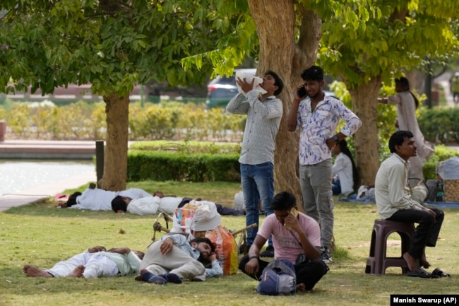 FILE - People drink water and rest in the shade of trees as New Delhi, India experiences a heat wave, on June 18, 2024. (AP Photo/Manish Swarup)