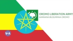 Yeroo Mootummaa fi Wabo Gidduutti Mariin Itti Fufee Jiru Kanatti Oromiyaa Bakka Tokko Tokkotti Walitti Bu'iinsi Itti Fufee Jira: Jiraattota