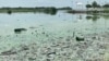 Vista general de una de las playas de la costa norte del Lago de Maracaibo, detrás del Parque La Marina, donde se aprecian los altos niveles de contaminación de esas aguas, estancadas entre residuos petroleros, químicos y plásticos, además con una bacteria llamada "verdín".