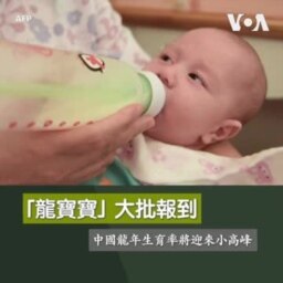 「龍寶寶」大批報到 中國龍年生育率將迎來小高峰