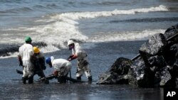 Workers from state owned Heritage Petroleum Oil and Gas Company clean up an oil spill that reached Rockly Bay beach, in Scarborough, southwestern Tobago, Trinidad and Tobago, Feb. 11, 2024. 