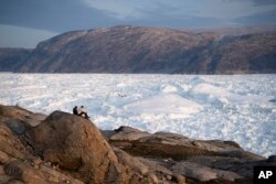 Peneliti mahasiswa NYU duduk di atas batu yang menghadap ke gletser Helheim di Greenland. Musim panas 2019. (Foto: AP)