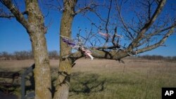 Strips of cloth and pouches of tobacco and sage, hung as offerings made by Native Americans in prayer, blow in the wind at Pipestone National Monument in Pipestone, Minnesota, May 2, 2023.