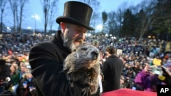 El entrenador del Club de la Marmota, A.J. Dereume sostiene a Punxsutawney Phil, la marmota que pronostica el clima, durante la celebración número 138 del Día de la Marmota en Gobbler's Knob en Punxsutawney, Pensilvania, el viernes 2 de febrero de 2024. (Foto AP/Barry Reeger)