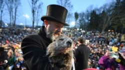 En Pensilvania, la marmota Phil pronostica más invierno para EEUU y nuevamente reúne a miles durante la festividad