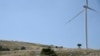 野马在风力涡轮机附近的伊沃维克山上吃草