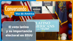 La fuerza de los latinos en las elecciones presidenciales de EEUU
