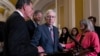 US Senate Republican Leader McConnell Freezes, Leaves News Conference 