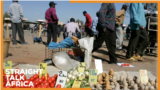 Benefits of Diversified African Economies & Sub-Saharan Africa's Economic Outlook
