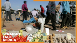 Benefits of Diversified African Economies & Sub-Saharan Africa's Economic Outlook
