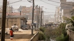 Mɔgɔ wolonwula fagara, mɔgɔ caman jogin na, boon dɔ binna Dakar, Senegal jamana faaba la
