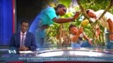 Sheekada lamaanaha reer Japan ee ku nool Uganda