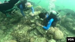 Scientists from CIMAS working on coral reef outside Florida coast