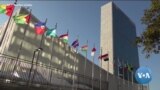 Não há progressos na ONU relativamente à resolução de a ajuda a Gaza