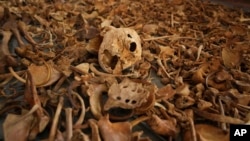 Newly discovered skulls and bones of some of those killed while seeking shelter inside the church are displayed in a church in Nyamata, Rwanda, on April 5, 2024, to commemorate the thousands killed during the 1994 genocide. Victims.