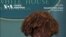 «Ми хочемо, щоб ця війна закінчилася», – речниця Білого дому. Відео