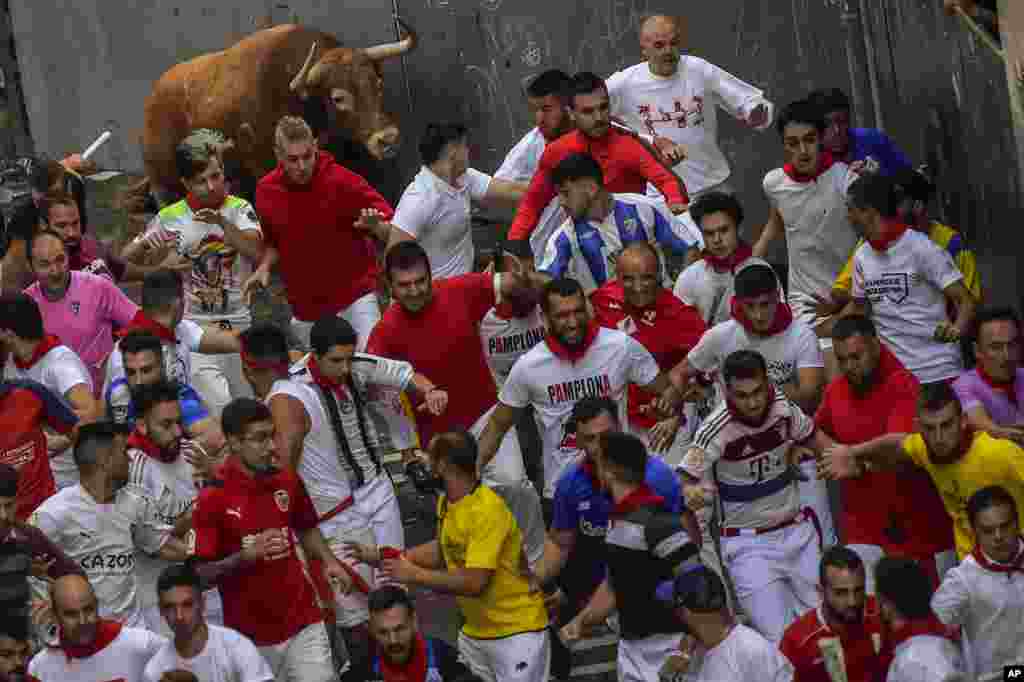 A Cebada Gago&#39;s fighting bull runs behind revelers during the third day of the running of the bulls during the San Fermin fiestas in Pamplona, Spain.