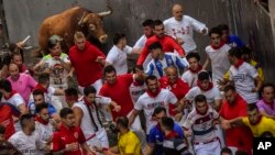 A Cebada Gago&#39;s fighting bull runs behind revelers during the third day of the running of the bulls during the San Fermin fiestas in Pamplona, Spain.