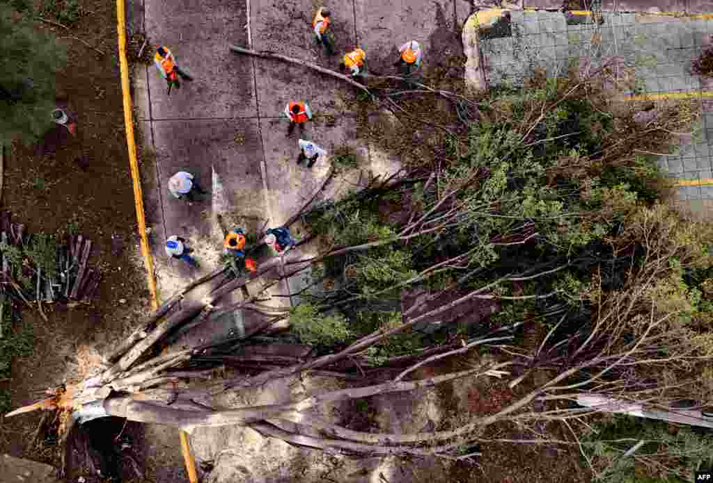 An aerial view of city hall workers removing a tree down by a storm in Zapopan, Jalisco State, Mexico, July 3, 2024.
