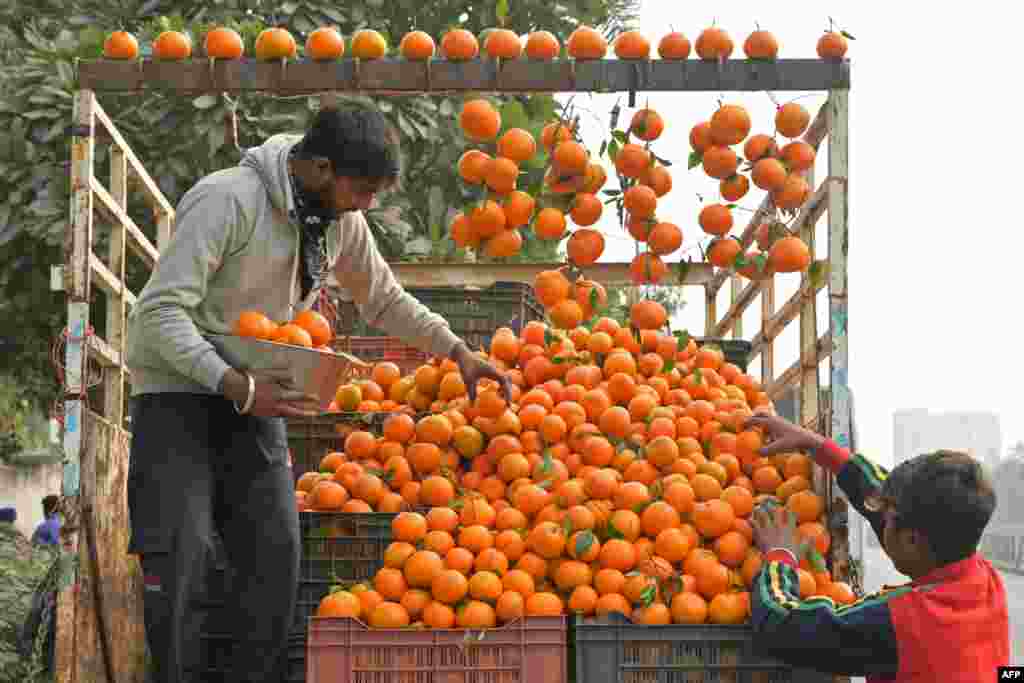 Sellers arrange oranges as they wait for buyers in Amritsar, India.