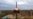 Rusia busca coaccionar a Ucrania con su chantaje nuclear