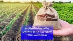 پرداخت مطالبات گندم‌‌کاران و کامیون‌داران از صندوق توسعه ملی؛ هزینه‌ای از جیب آیندگان