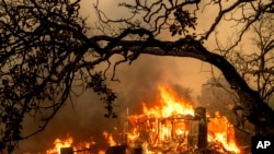 Пожары в северной Калифорнии. 2 июля 2024г. (AP Photo/Noah Berger).