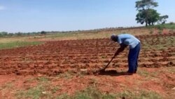 Farmer Tilling Land