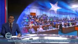 Xildhibaano billaabay mucaarado ka dhan ah dowladda Xasan Sheekh