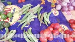 Bobo-Dioulasso dunmta fenw tiɲɛni kololo