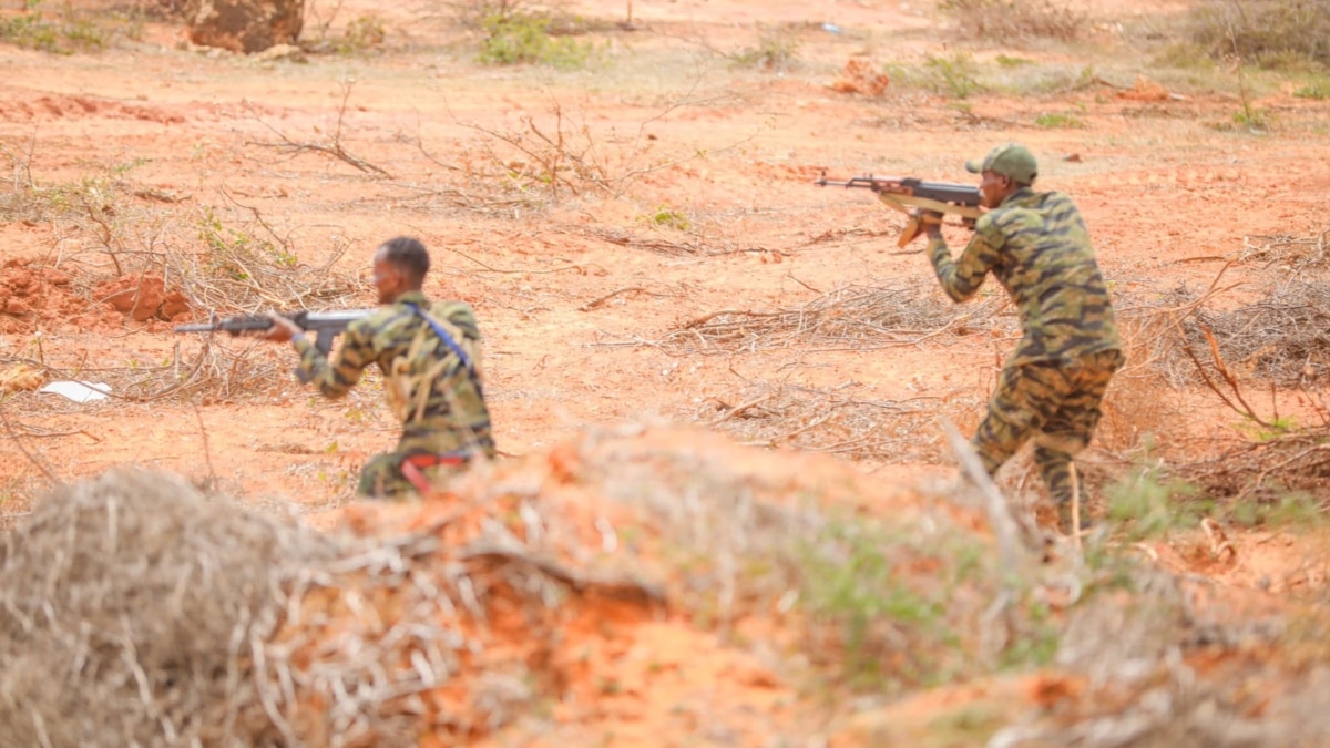 Ciidamada Dowladda Iyo Jubaland Oo Fuliyey Howlgallo Ka Dhan Ah Al Shabaab