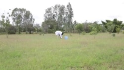Kenyan University Student Innovators Manufacture Flour Using Grass