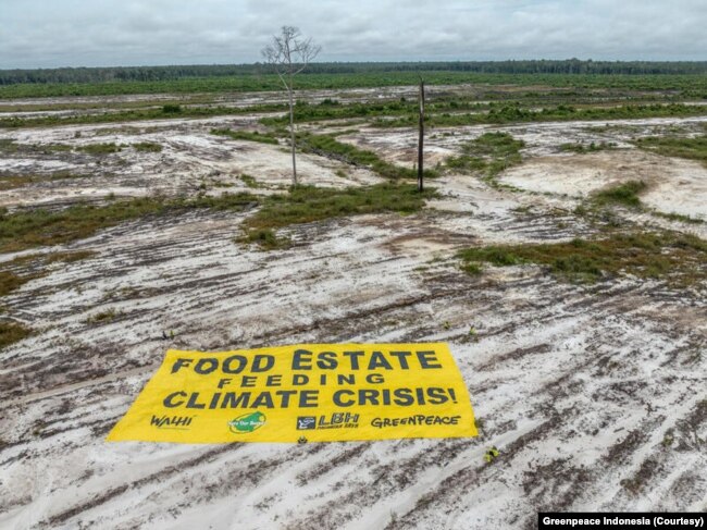 Aktivis Greenpeace, LBH Kalimantan Tengah, Save Our Borneo, dan Walhi Kalimantan Tengah memasang spanduk di lokasi proyek food estate yang dikerjakan Kementerian Pertahanan di Gunung Mas, Kalimantan Tengah. (Foto: Courtesy/Greenpeace Indonesia)