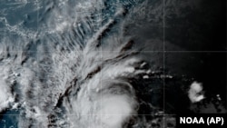 Beryl Kasırgası'nın Karayipler'e yaklaşırken güçlü bir 4. kategori fırtınaya dönüşeceği tahmin ediliyor. Uzmanlar Beryl Kasırgası'nı "ciddi bir tehdit" olarak değerlendiriyor, 29 Haziran 2024. 