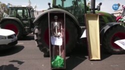 İspanyol çiftçiler traktörleriyle kuraklıkla mücadele için protesto düzenledi 